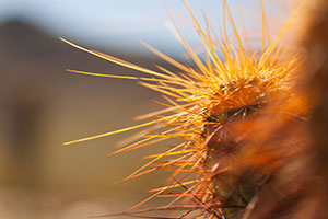 攻击网站在线工具